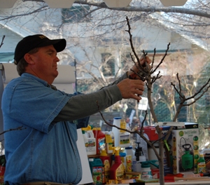 Pruning Fruit Trees 2.12.11 002 crop web