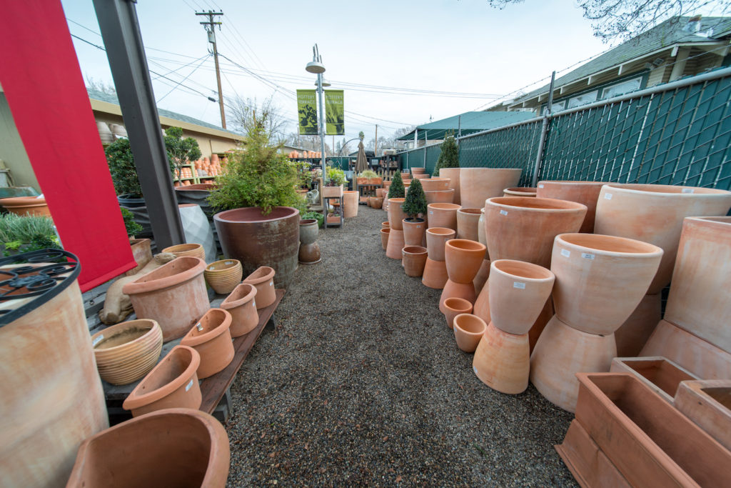 greenery_turlock_community_header