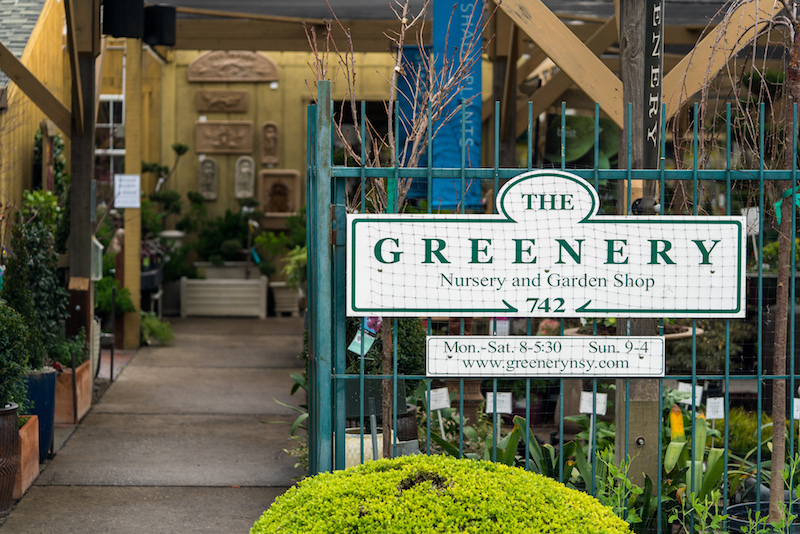 The Greenery Nursery