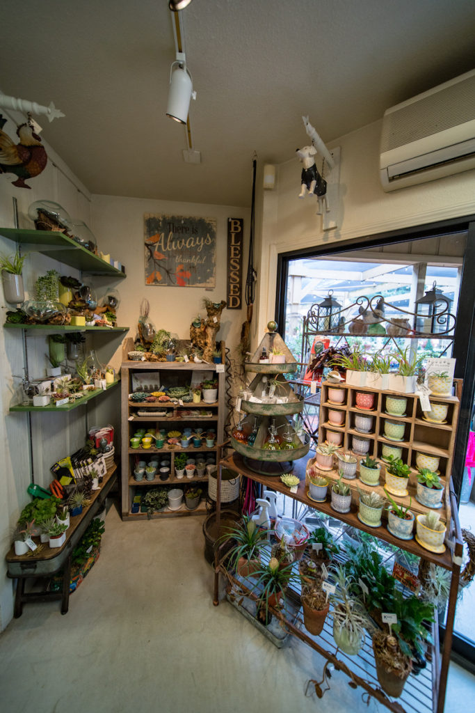 greenery_garden_shop_1