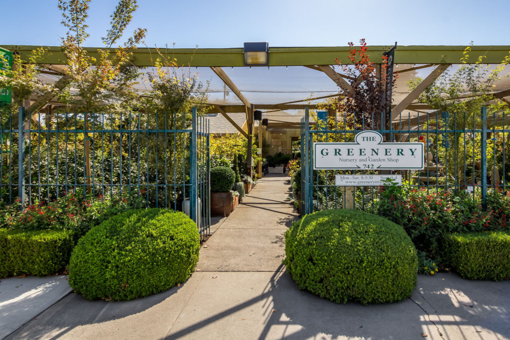 The_Greenery_Nursery_and_Garden_Shop_27 The_Greenery_Nursery_and_Garden_Shop_27